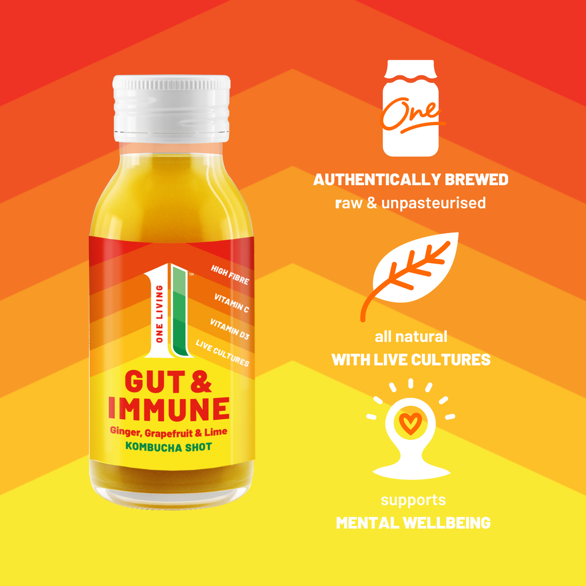 Kombucha Shots Ginger Gut Health Shots No.1 Living® One Living®