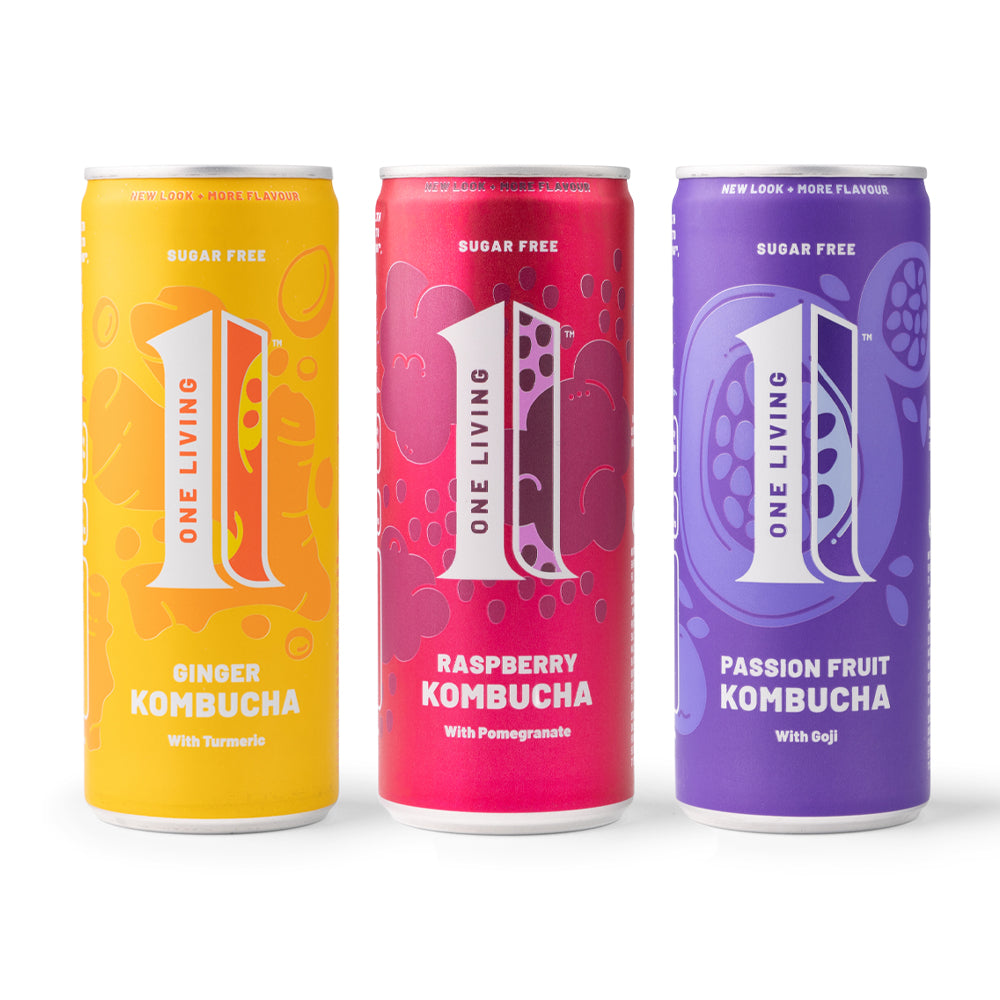Sugar Free Kombucha Multi Pack